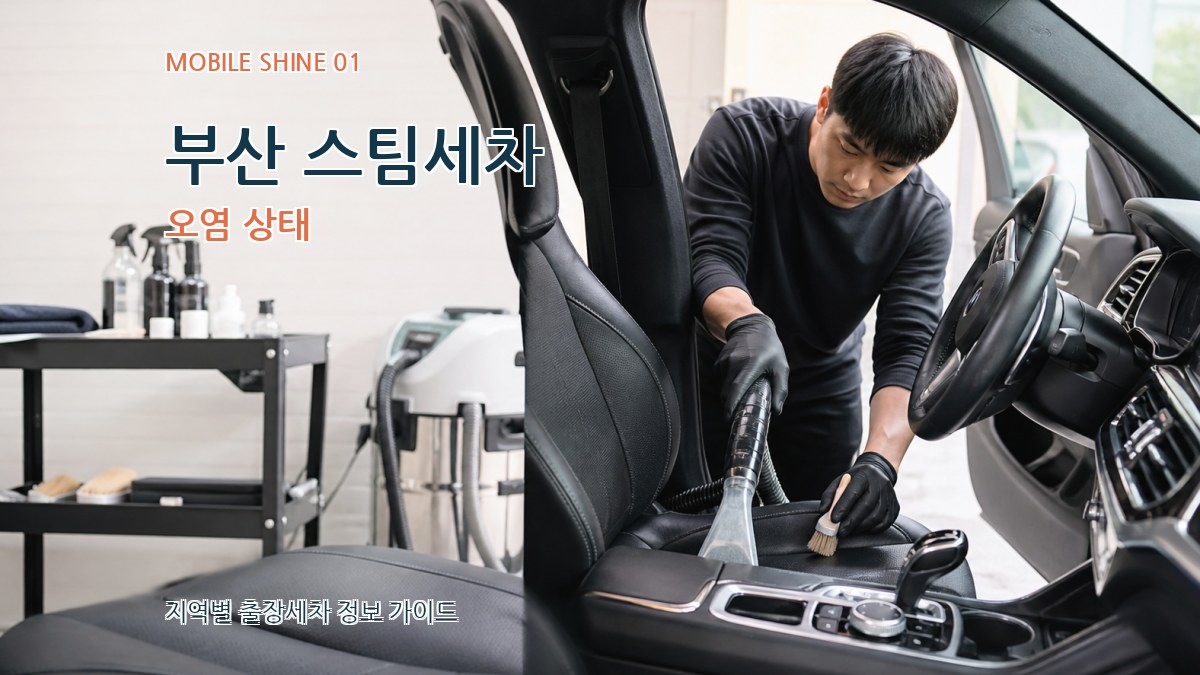 부산 스팀세차