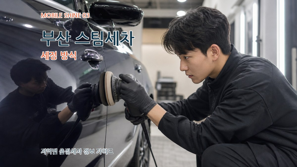 부산 스팀세차 세정 방식