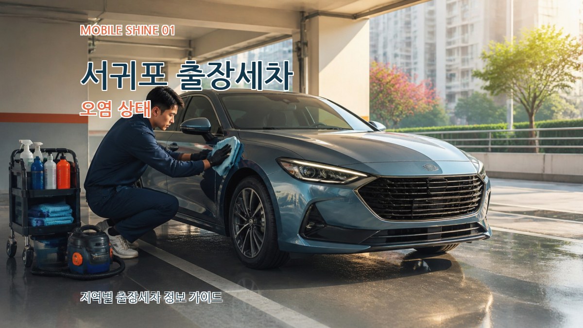 서귀포 출장세차