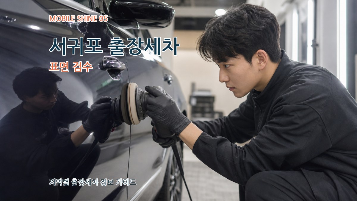 서귀포 출장세차 표면 검수