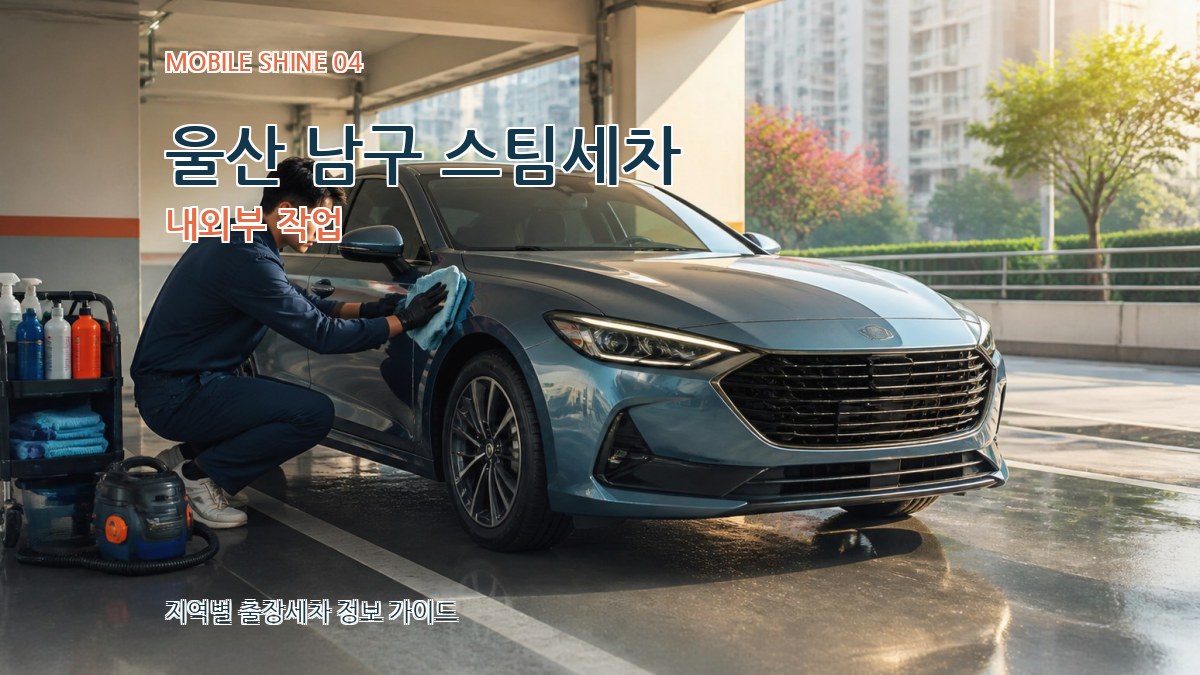 울산 남구 스팀세차 내외부 작업