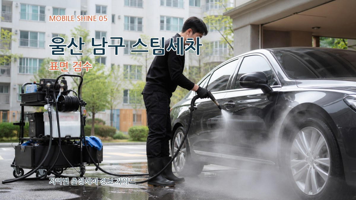 울산 남구 스팀세차 표면 검수
