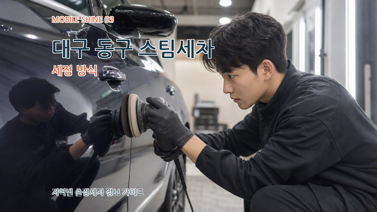 대구 동구 스팀세차 세정 방식