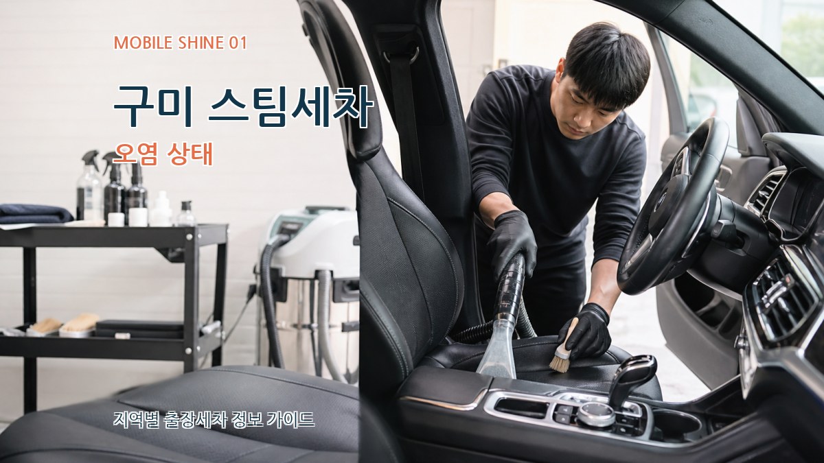 구미 스팀세차