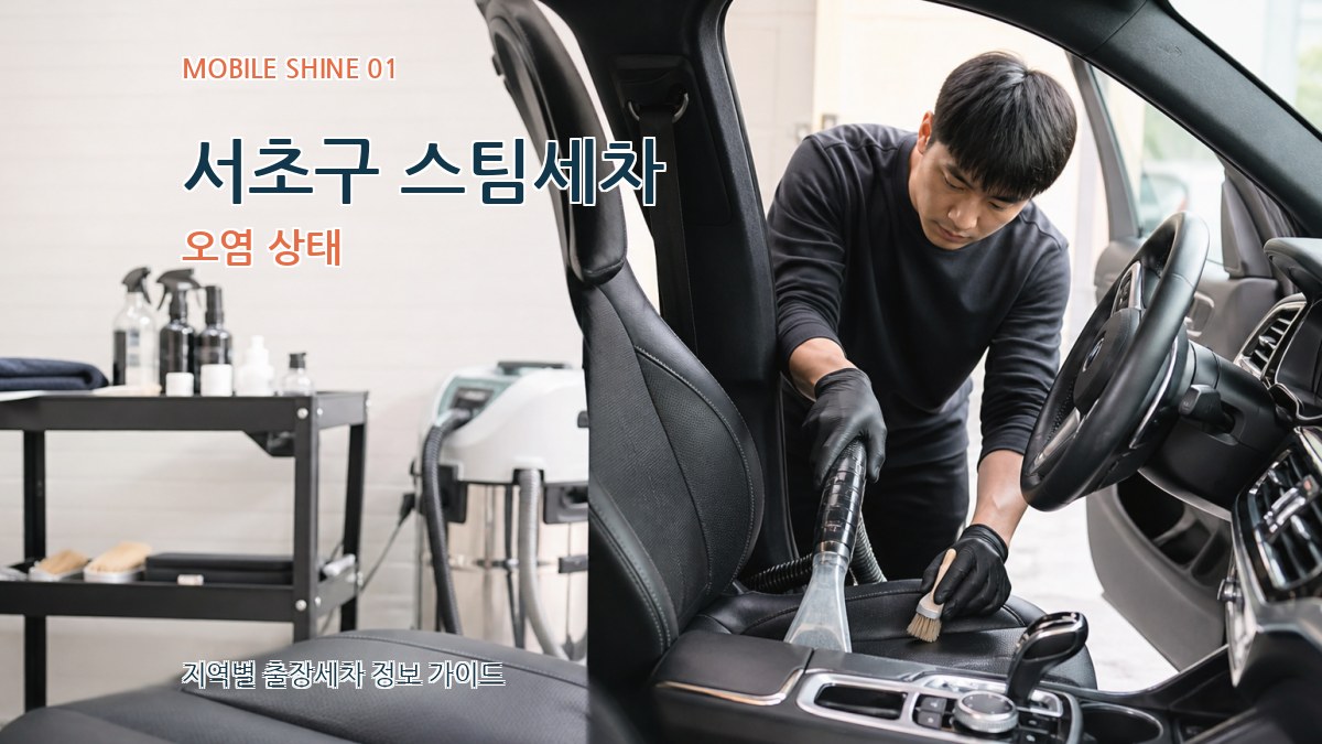 서초구 스팀세차