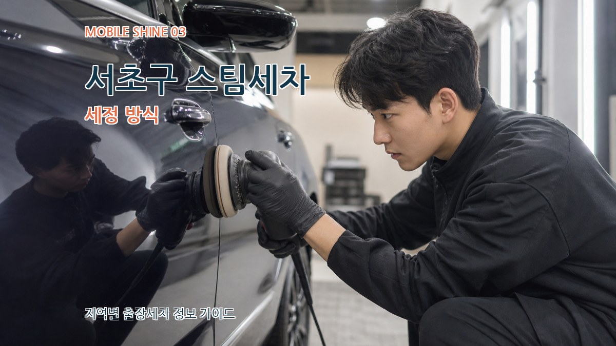 서초구 스팀세차 세정 방식