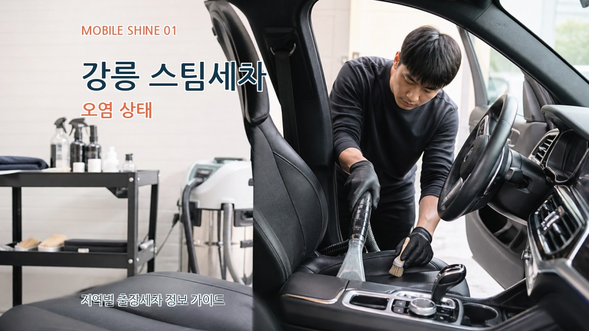 강릉 스팀세차