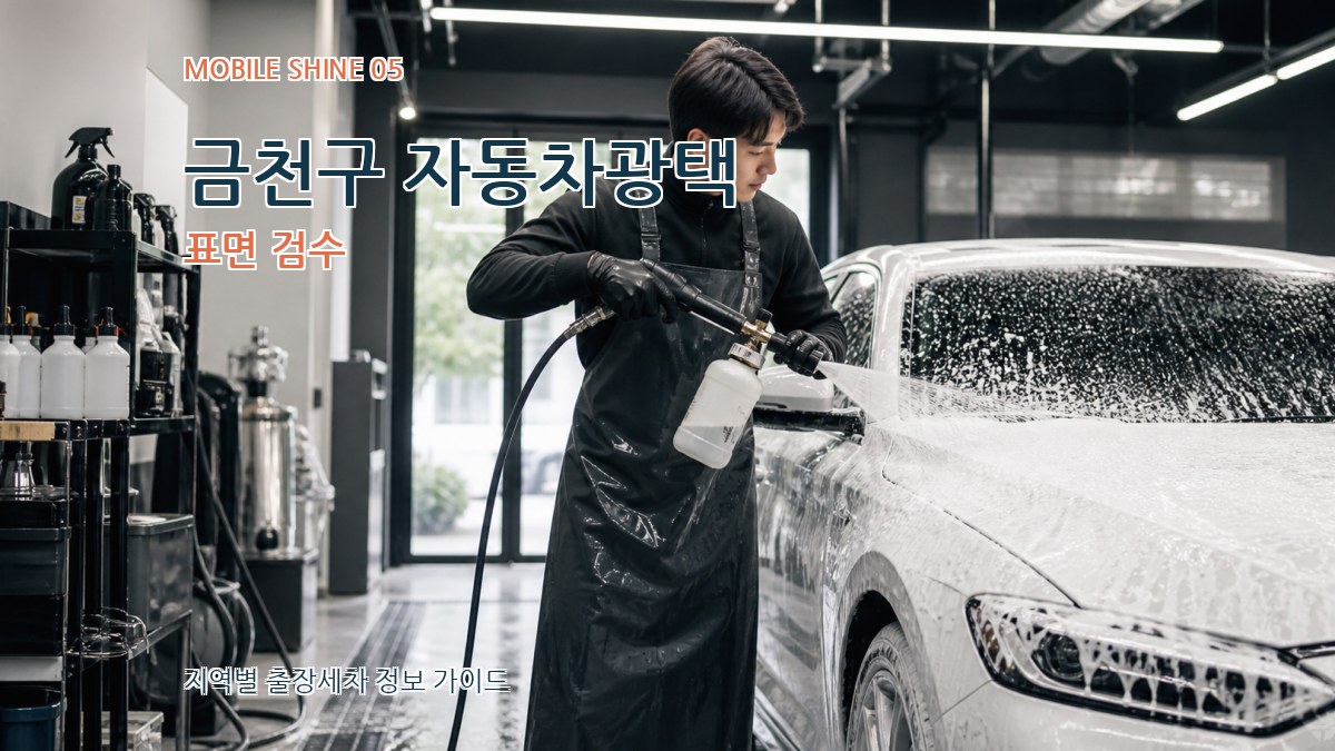 금천구 자동차광택 표면 검수