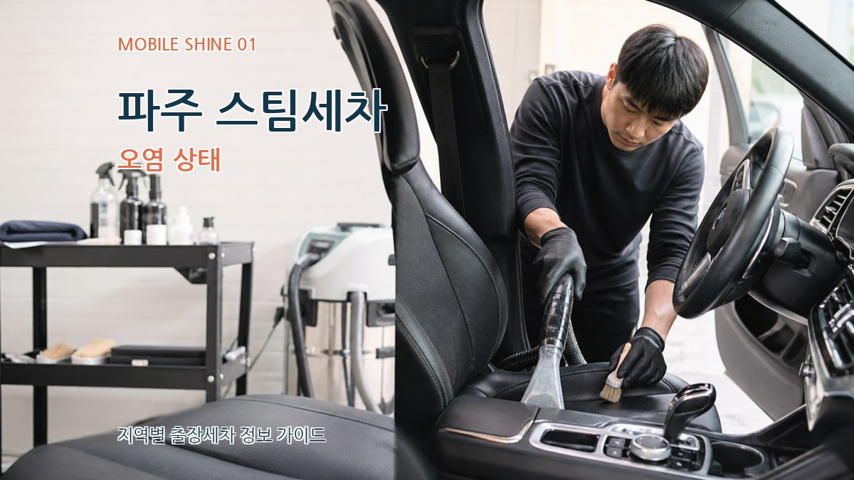 파주 스팀세차