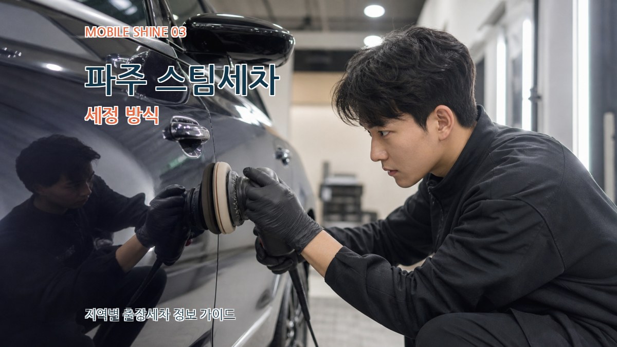 파주 스팀세차 세정 방식
