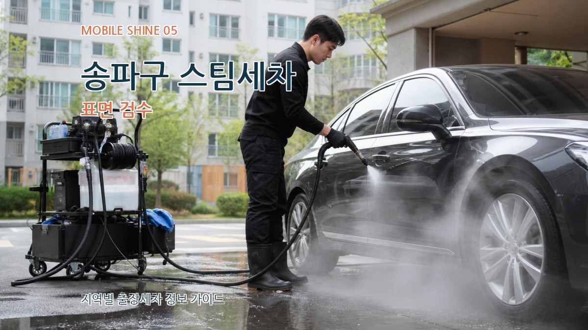 송파구 스팀세차 표면 검수