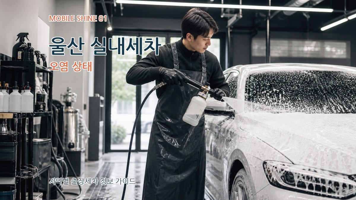 울산 실내세차