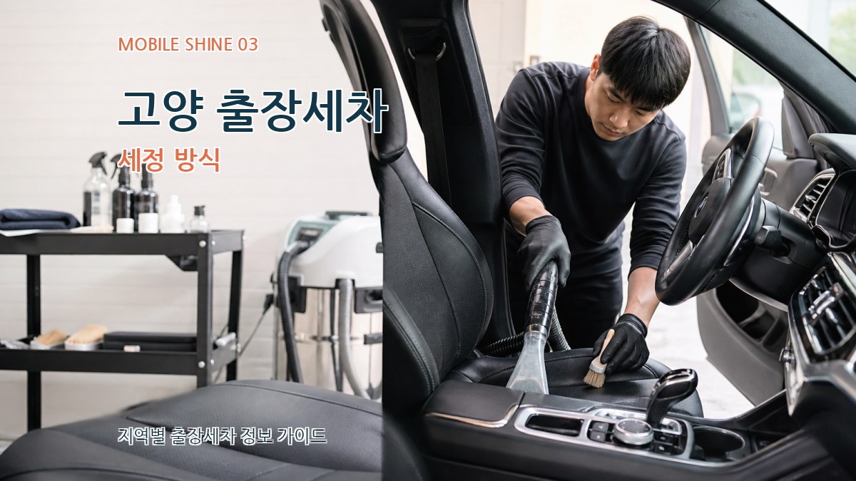 고양 출장세차 세정 방식