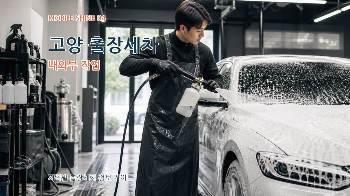 고양 출장세차 내외부 작업