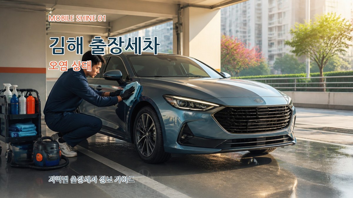 김해 출장세차 오염 상태