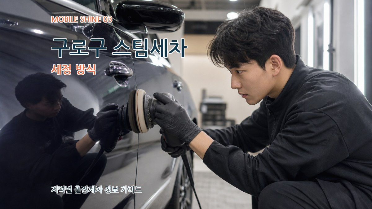 구로구 스팀세차 세정 방식