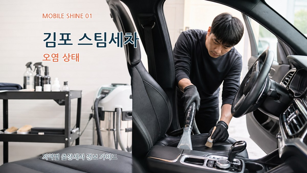 김포 스팀세차