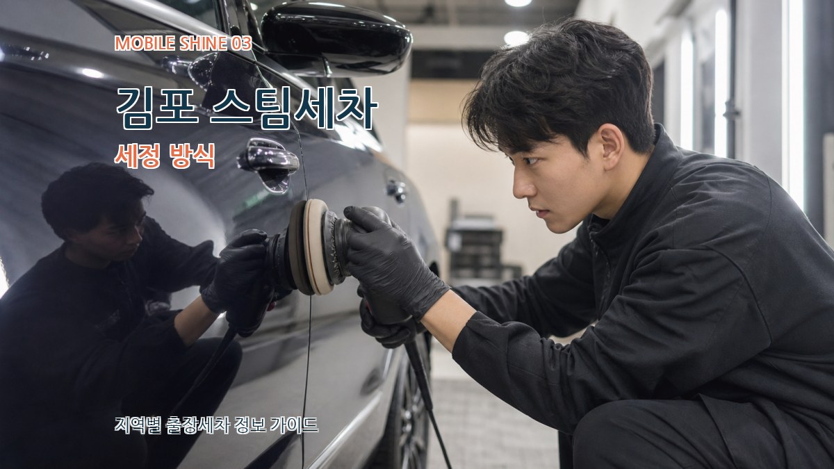 김포 스팀세차 세정 방식