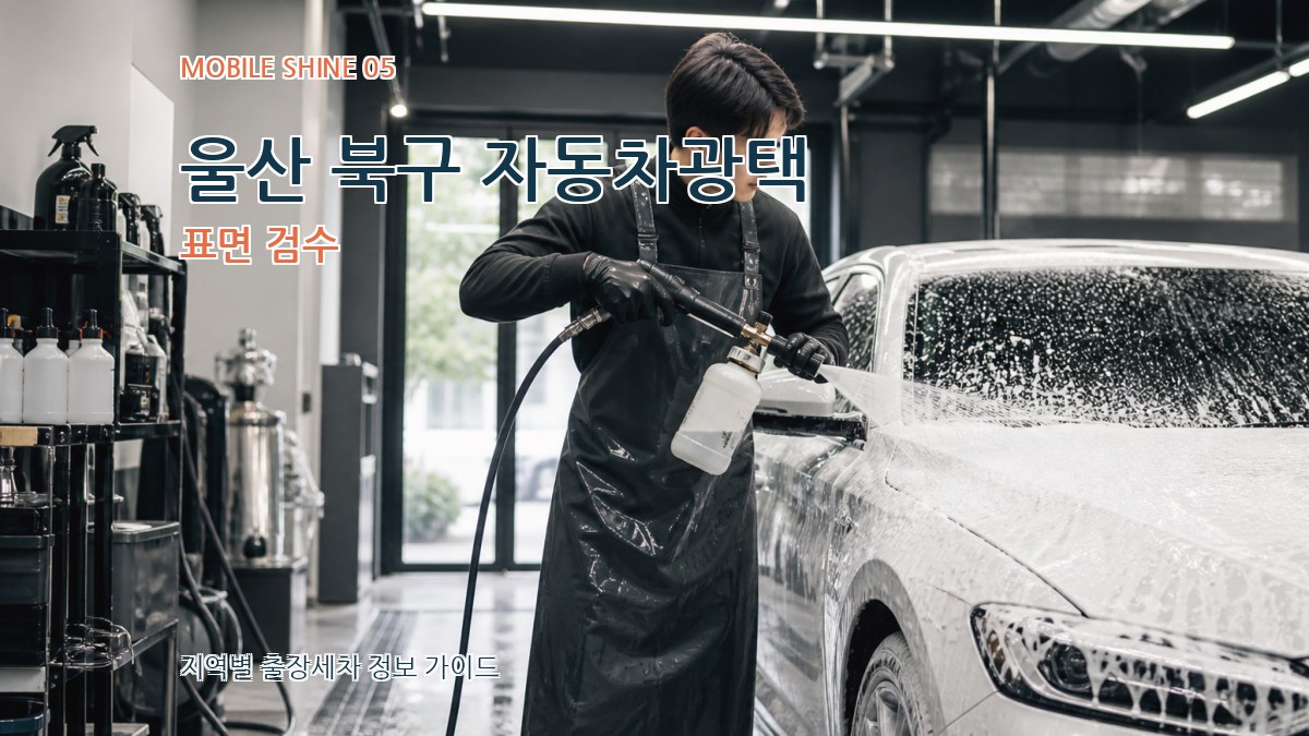 울산 북구 자동차광택 표면 검수