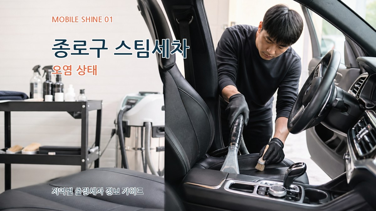 종로구 스팀세차