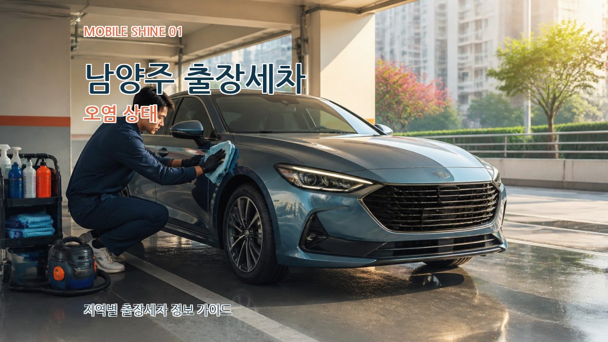 남양주 출장세차 오염 상태