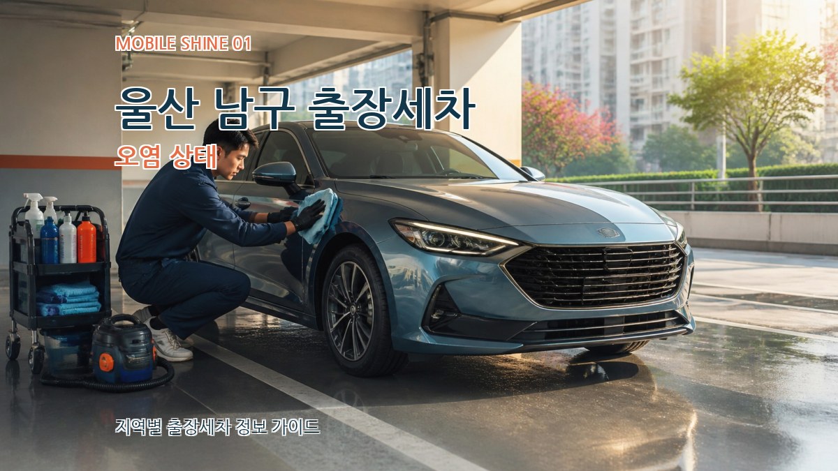 울산 남구 출장세차