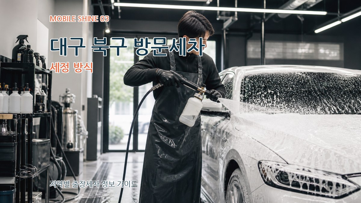 대구 북구 방문세차 세정 방식