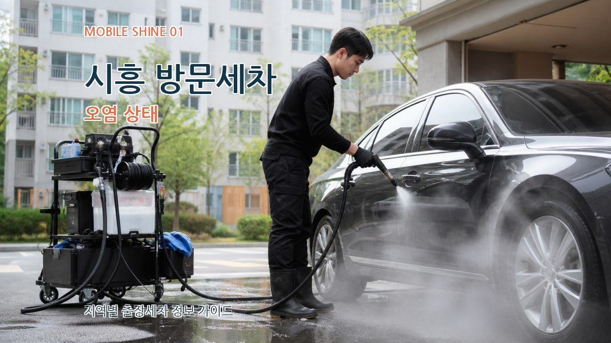 시흥 방문세차 오염 상태