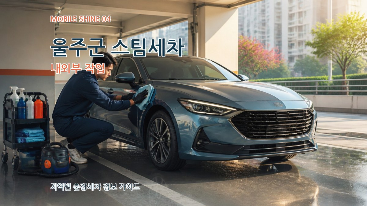 울주군 스팀세차 내외부 작업