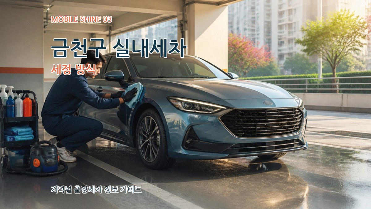 금천구 실내세차 세정 방식