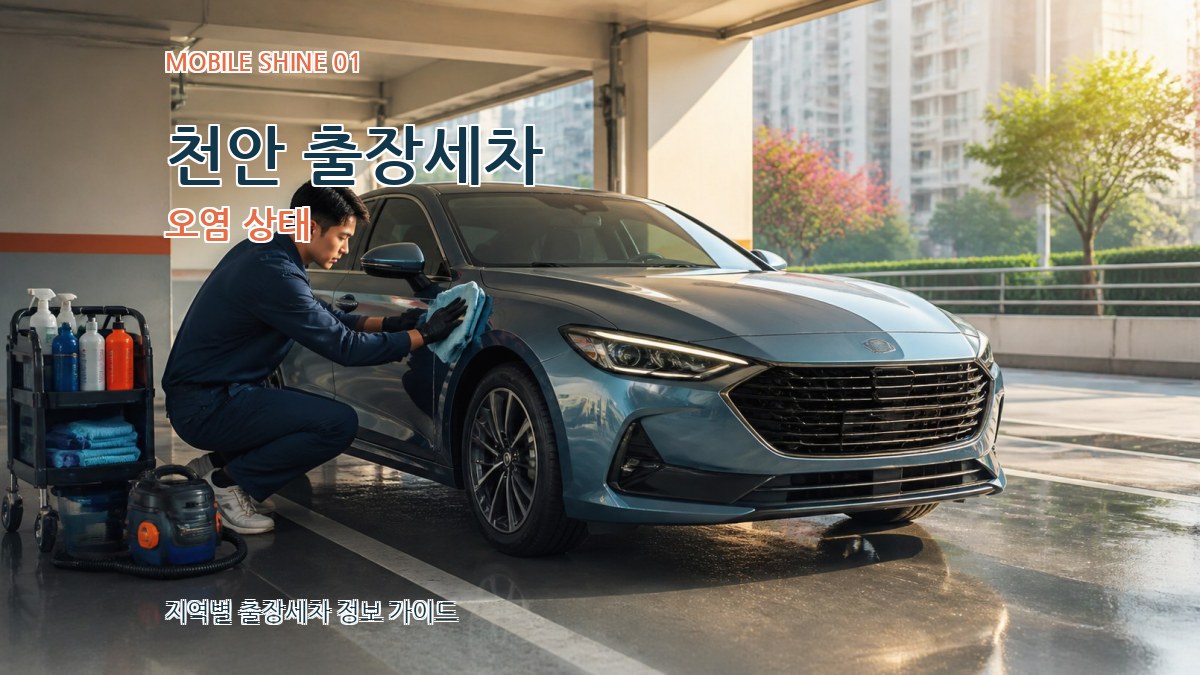 천안 출장세차