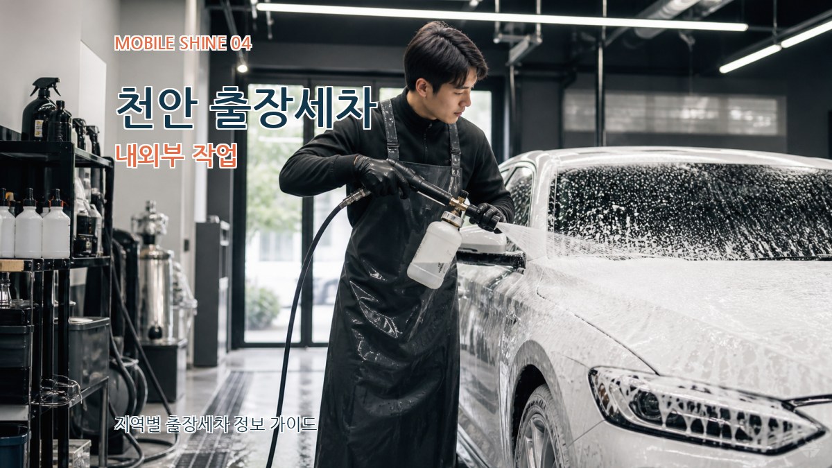 천안 출장세차 내외부 작업