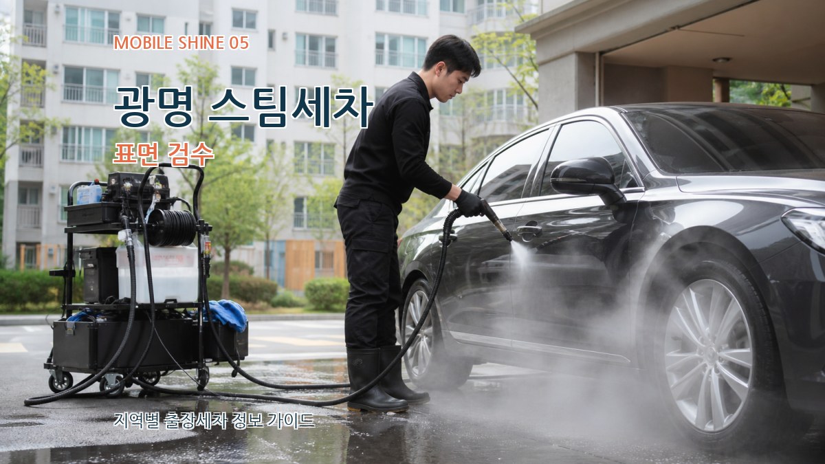 광명 스팀세차 표면 검수