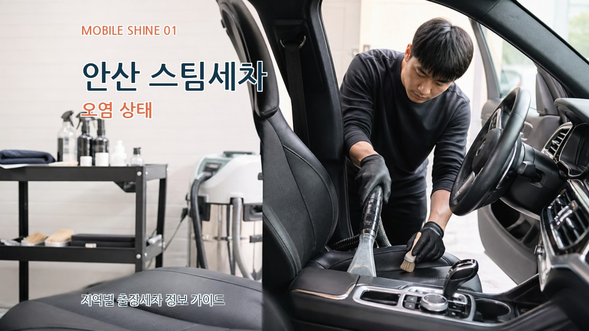 안산 스팀세차