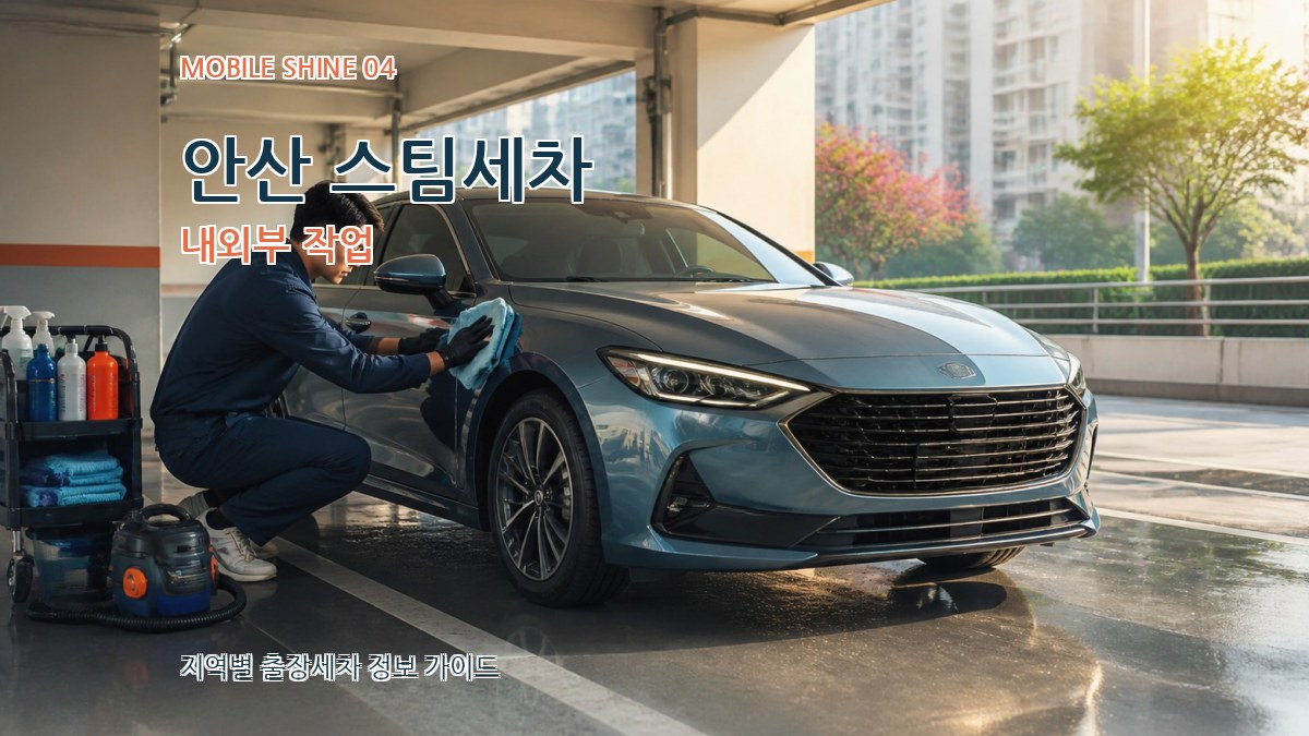 안산 스팀세차 내외부 작업