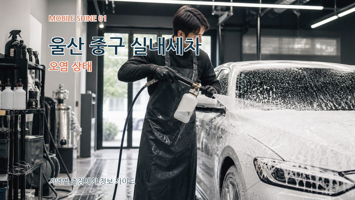 울산 중구 실내세차 오염 상태