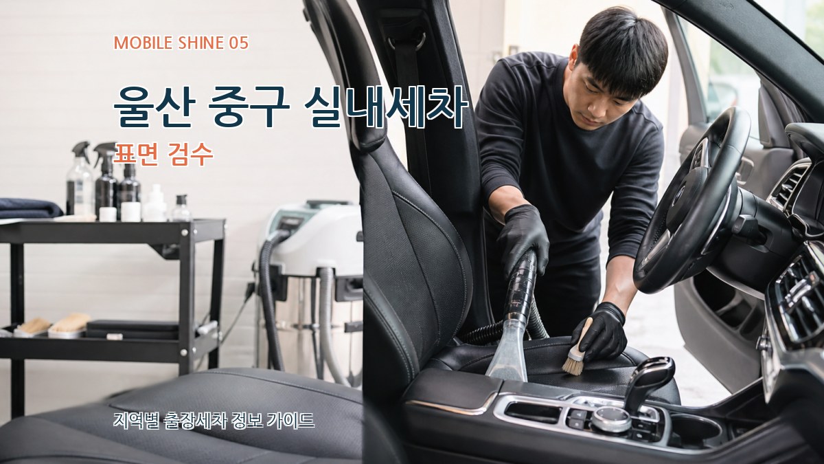 울산 중구 실내세차 표면 검수