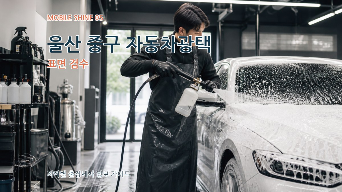 울산 중구 자동차광택 표면 검수