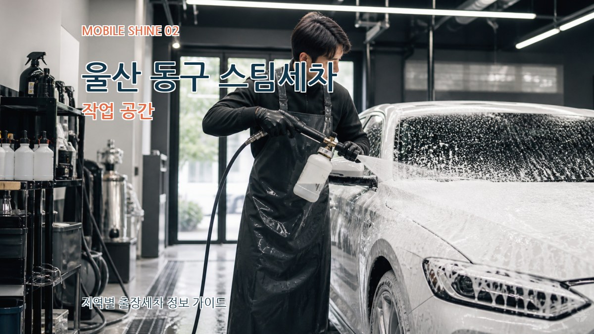 울산 동구 스팀세차 작업 공간
