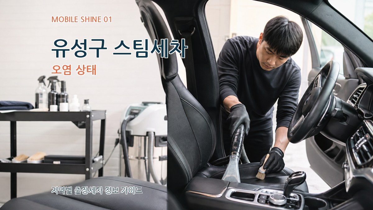 유성구 스팀세차 오염 상태