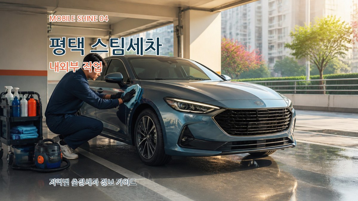 평택 스팀세차 내외부 작업