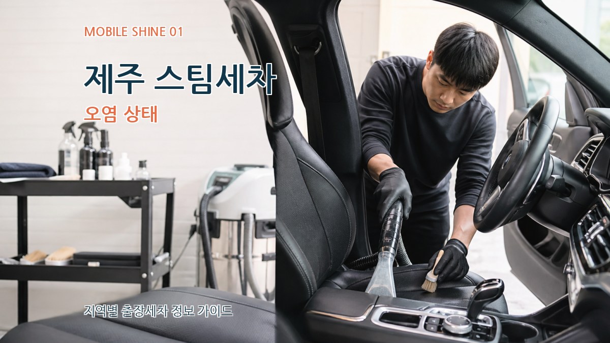 제주 스팀세차