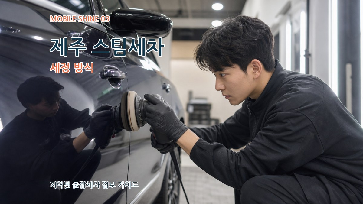 제주 스팀세차 세정 방식