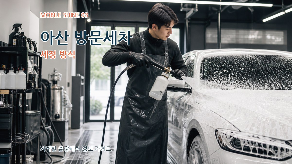 아산 방문세차 세정 방식