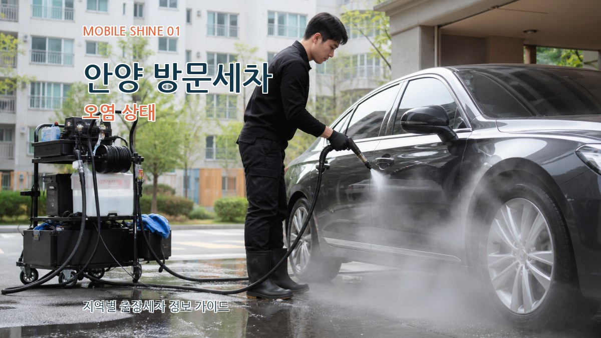 안양 방문세차 오염 상태