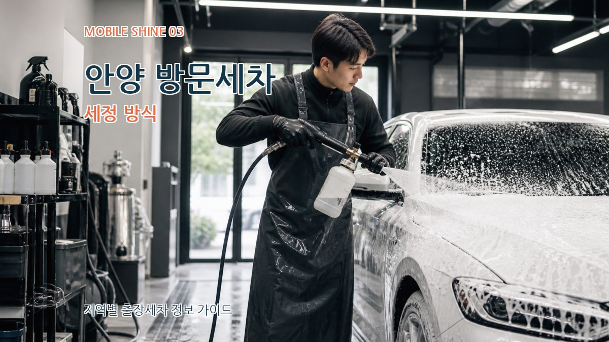 안양 방문세차 세정 방식