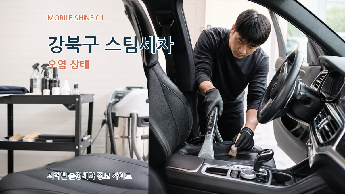 강북구 스팀세차 오염 상태