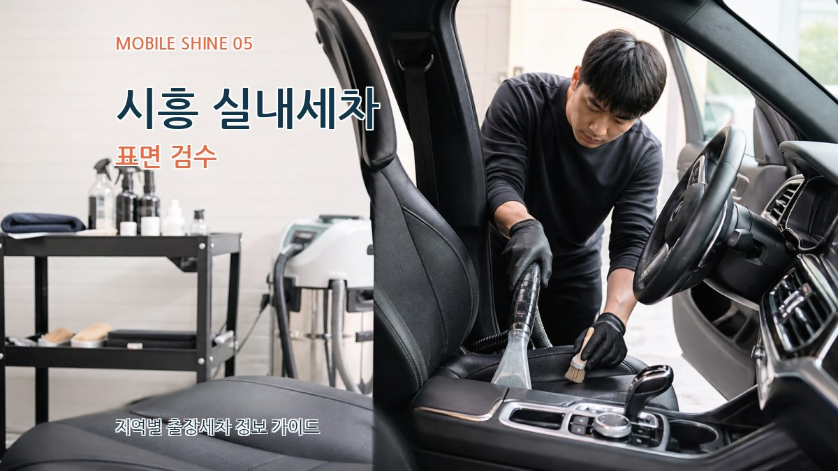 시흥 실내세차 표면 검수