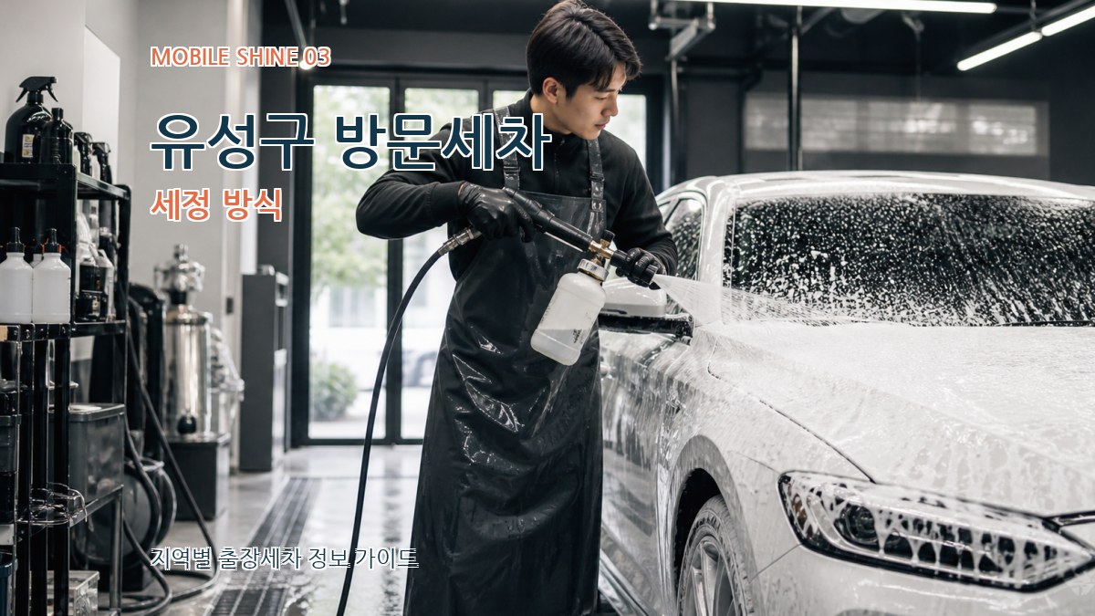 유성구 방문세차 세정 방식