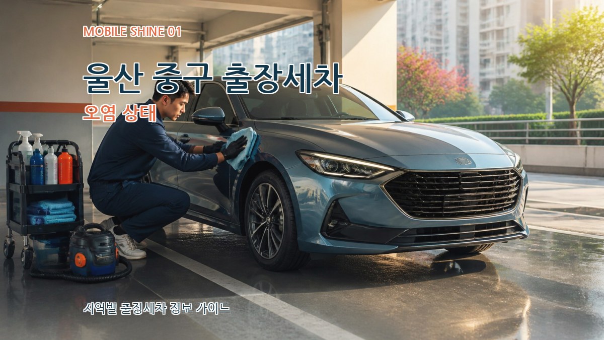 울산 중구 출장세차